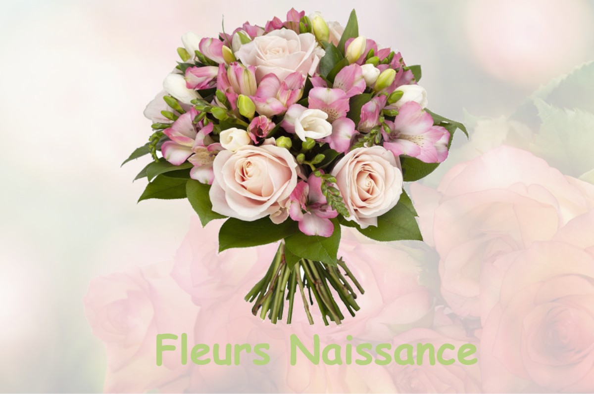 fleurs naissance GILLOIS