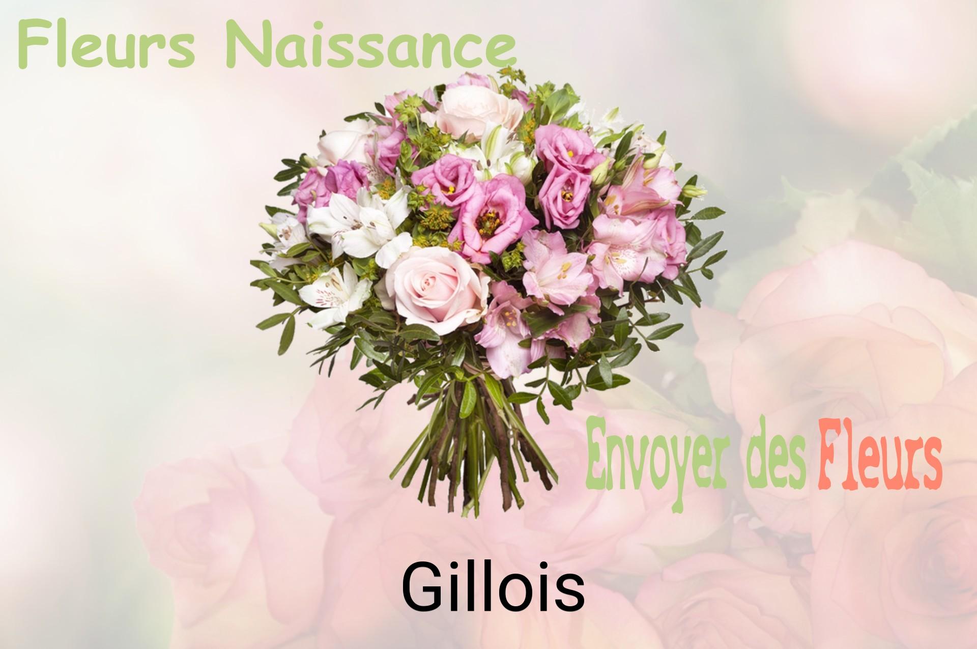 Bouquet de fleurs de naissance livré à Gillois