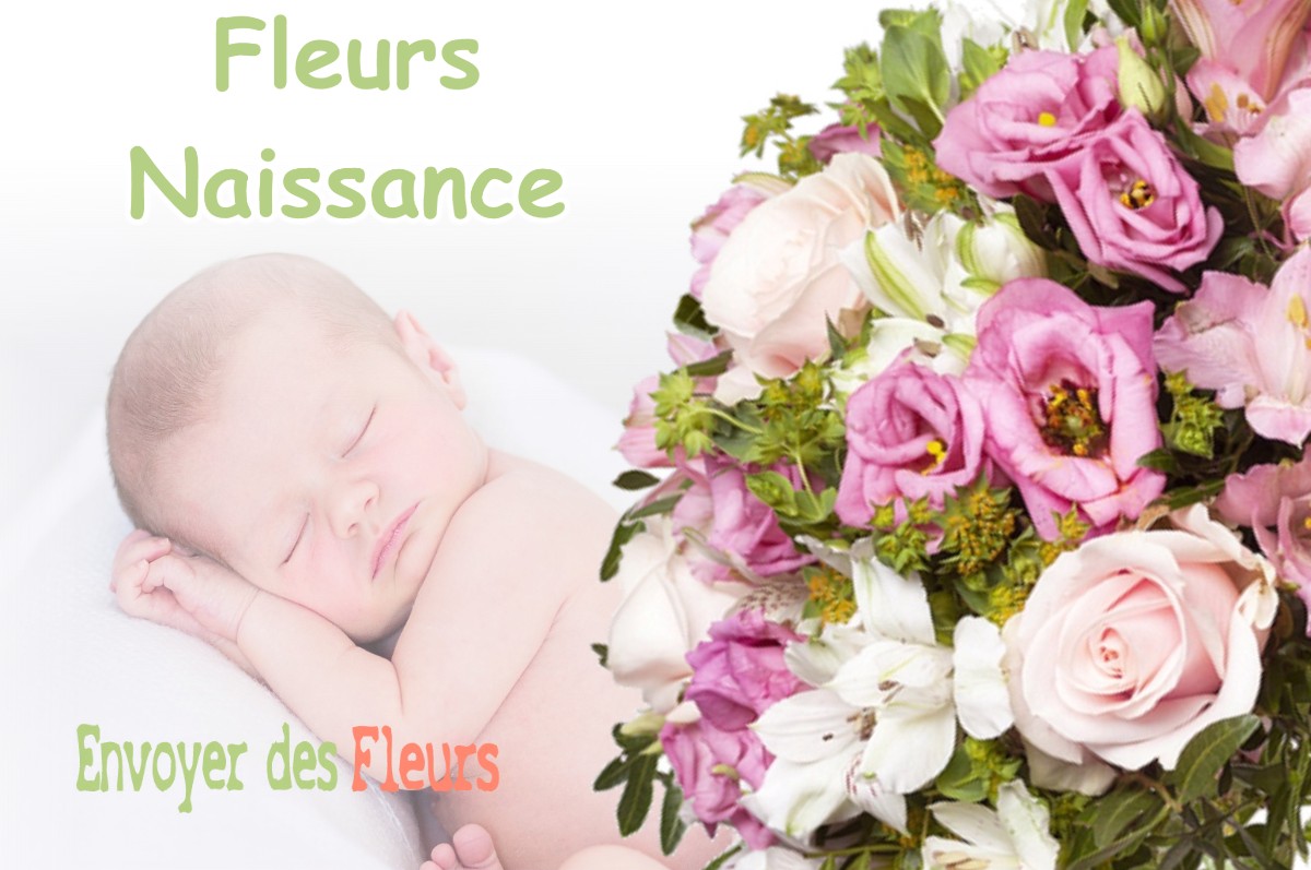 lIVRAISON FLEURS NAISSANCE à GILLOIS